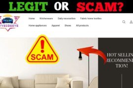 Ayyecoeeye.com Review: Legit or Scam?