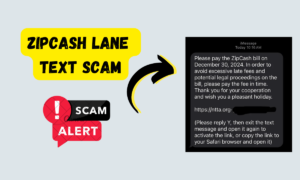 ZipCash Lane Text Scam: Fake NTTA.org Payment Messages